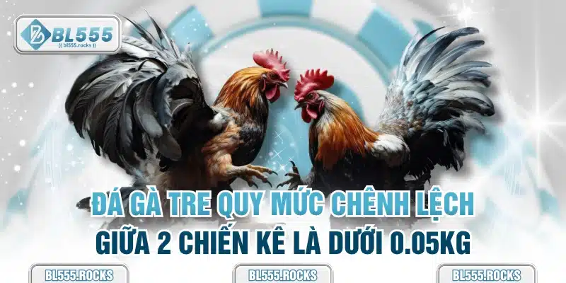 Đá gà tre quy mức chênh lệch giữa 2 chiến kê là dưới 0.05kg