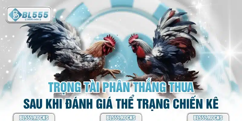 Trọng tài phân thắng thua sau khi đánh giá thể trạng chiến kê